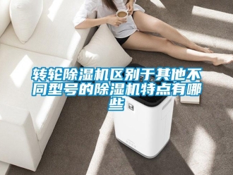 知識百科轉輪除濕機區別于其他不同型號的除濕機特點有哪些