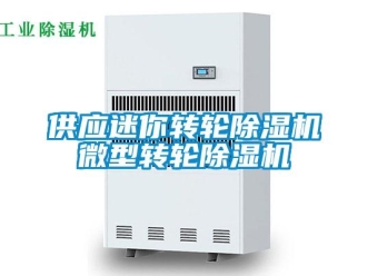 常見問題供應迷你轉輪除濕機微型轉輪除濕機