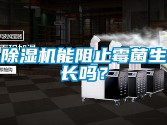 常見問題除濕機能阻止霉菌生長嗎？