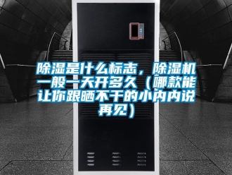 行業新聞除濕是什么標志，除濕機一般一天開多久（哪款能讓你跟曬不干的小內內說再見）