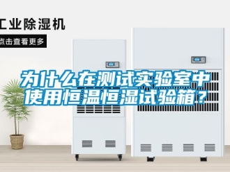 知識百科為什么在測試實驗室中使用恒溫恒濕試驗箱？