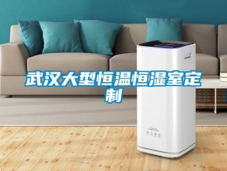 知識百科武漢大型恒溫恒濕室定制