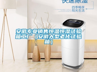 常見問題安徽專業銷售恒溫恒濕試驗箱工廠（安徽大型老化試驗箱）