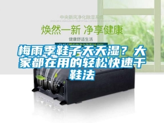 行業新聞梅雨季鞋子天天濕？大家都在用的輕松快速干鞋法
