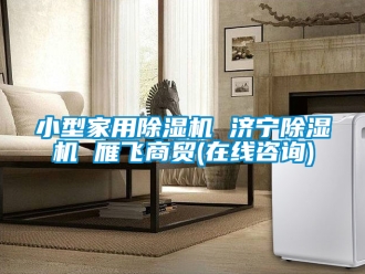 常見問題小型家用除濕機 濟寧除濕機 雁飛商貿(在線咨詢)