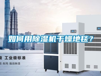 常見問題如何用除濕機干燥地毯？