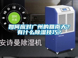常見問題如何應對廣州的回南天？有什么除濕技巧？
