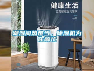 企業新聞潮濕悶熱難當，除濕機為你解憂