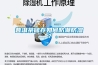 普洱茶儲存如何防潮防濕？