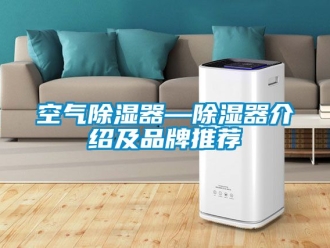 行業新聞空氣除濕器—除濕器介紹及品牌推薦