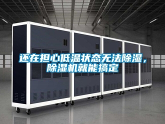 行業新聞還在擔心低溫狀態無法除濕，除濕機就能搞定