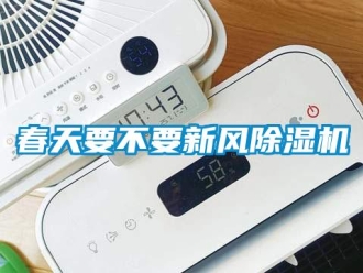 企業新聞春天要不要新風除濕機