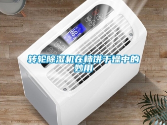 知識百科轉輪除濕機在柿餅干燥中的妙用