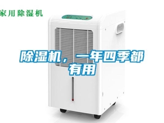 常見問題除濕機，一年四季都有用