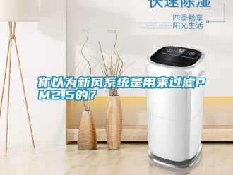 行業新聞你以為新風系統是用來過濾PM2.5的？