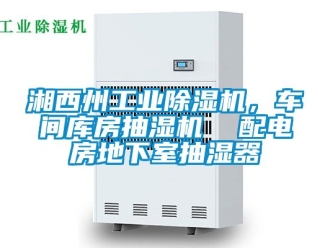 常見問題湘西州工業除濕機，車間庫房抽濕機  配電房地下室抽濕器