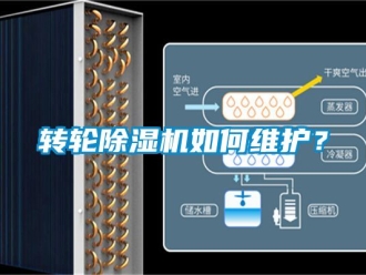 常見問題轉輪除濕機如何維護？