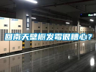行業新聞回南天壁櫥發霉很糟心？