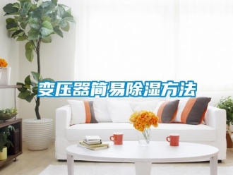 企業新聞變壓器簡易除濕方法
