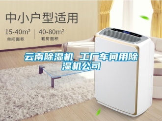 企業新聞云南除濕機 工廠車間用除濕機公司