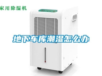 企業新聞地下車庫潮濕怎么辦