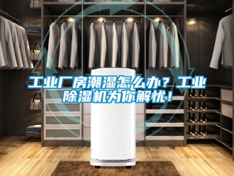 常見問題工業廠房潮濕怎么辦？工業除濕機為你解憂！