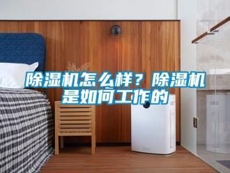 行業新聞除濕機怎么樣？除濕機是如何工作的