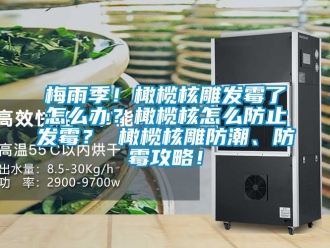 常見問題梅雨季！橄欖核雕發霉了怎么辦？橄欖核怎么防止發霉？ 橄欖核雕防潮、防霉攻略！