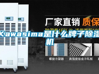 企業新聞Kawasima是什么牌子除濕機