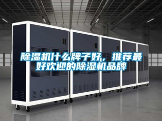 企業新聞除濕機什么牌子好，推薦最好歡迎的除濕機品牌