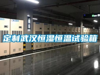 知識百科定制武漢恒濕恒溫試驗箱