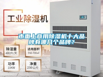 常見問題市面上商用除濕機十大品牌有哪幾個品牌？