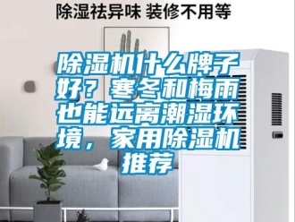 常見問題除濕機什么牌子好？寒冬和梅雨也能遠離潮濕環境，家用除濕機推薦