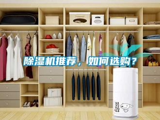 行業新聞除濕機推薦，如何選購？