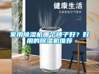 常見問題家用除濕機哪個牌子好？好用的除濕機推薦