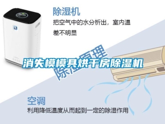 知識百科消失模模具烘干房除濕機