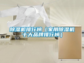 企業新聞除濕機排行榜（家用除濕機十大品牌排行榜）