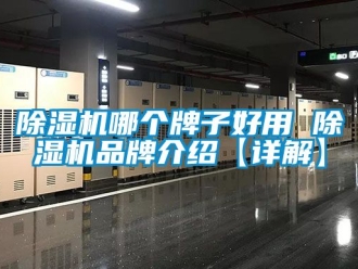 企業新聞除濕機哪個牌子好用 除濕機品牌介紹【詳解】