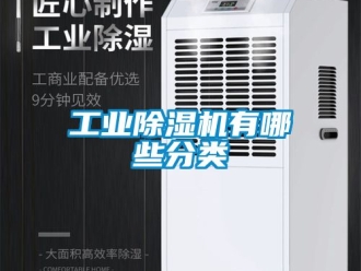 常見問題工業除濕機有哪些分類