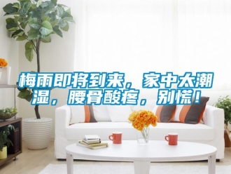 行業新聞梅雨即將到來，家中太潮濕，腰骨酸疼，別慌！
