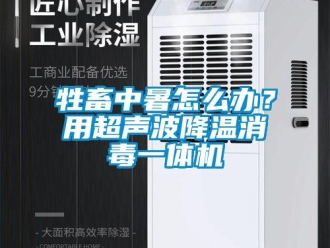 常見問題牲畜中暑怎么辦？用超聲波降溫消毒一體機