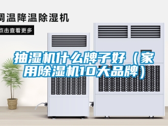 企業新聞抽濕機什么牌子好（家用除濕機10大品牌）