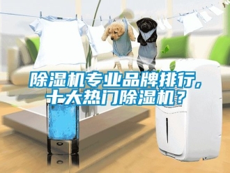 企業新聞除濕機專業品牌排行,十大熱門除濕機？