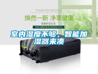 知識百科室內濕度不夠，智能加濕器來湊
