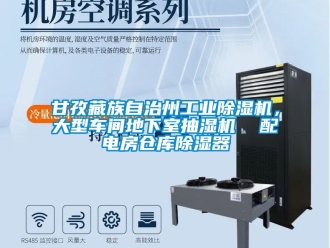 常見問題甘孜藏族自治州工業除濕機，大型車間地下室抽濕機  配電房倉庫除濕器