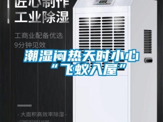 企業新聞潮濕悶熱天時小心“飛蟻入屋”