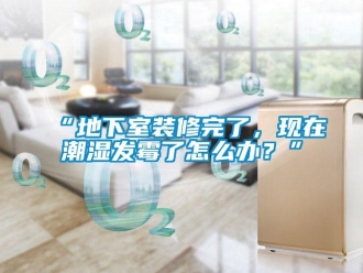 企業新聞“地下室裝修完了，現在潮濕發霉了怎么辦？”