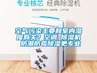 行業新聞空氣污染主要和室內濕度有關？空調≠除濕機 防潮防霉除濕更專業