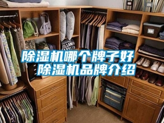 企業新聞除濕機哪個牌子好  除濕機品牌介紹