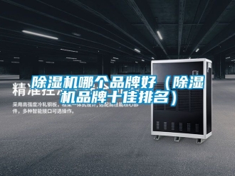 企業新聞除濕機哪個品牌好（除濕機品牌十佳排名）